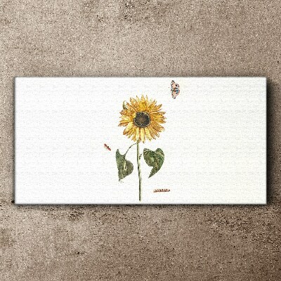 Sunflower in a delicate composition Print on canvas