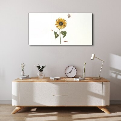 Sunflower in a delicate composition Print on canvas