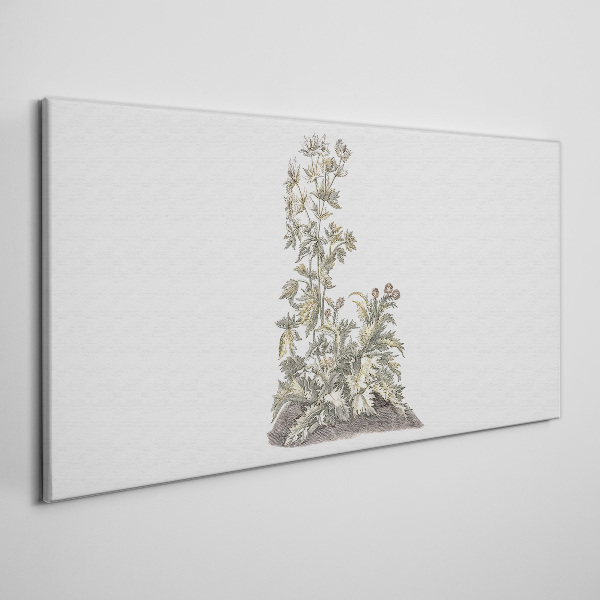 Plants in soft light Print on canvas