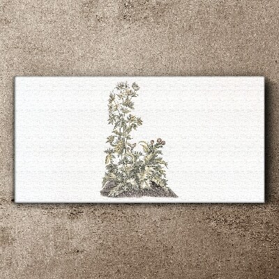 Plants in soft light Print on canvas