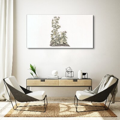 Plants in soft light Print on canvas