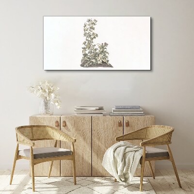 Plants in soft light Print on canvas