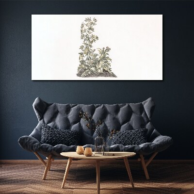 Plants in soft light Print on canvas