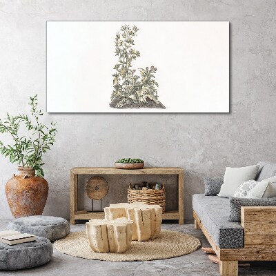 Plants in soft light Print on canvas