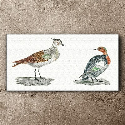 Birds in the colors of nature Canvas wall art