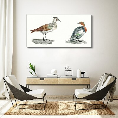 Animals birds Canvas print