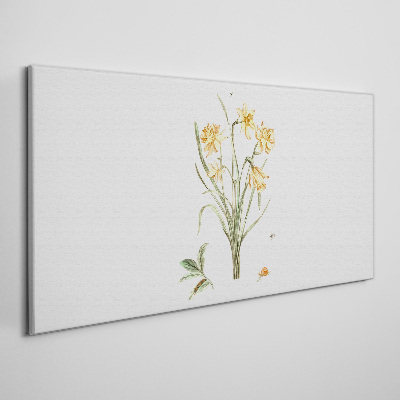 Daffodil flowers with a nature motif Print on canvas
