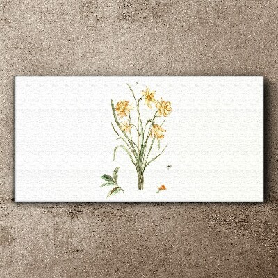 Daffodil flowers with a nature motif Print on canvas