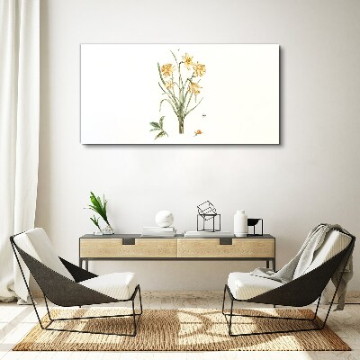 Daffodil flowers with a nature motif Print on canvas
