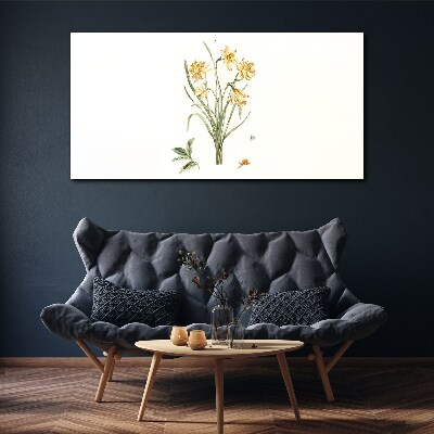 Daffodil flowers with a nature motif Print on canvas