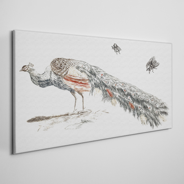 Peacock with flies Print on canvas