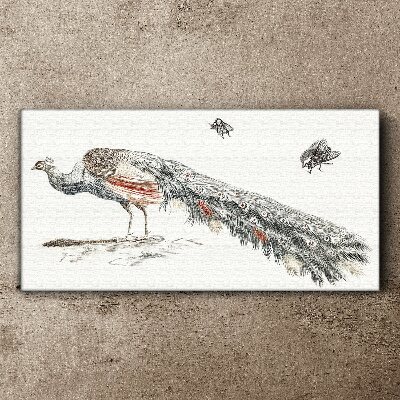 Animal bird peacock flies Canvas print