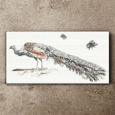 Peacock with flies Print on canvas