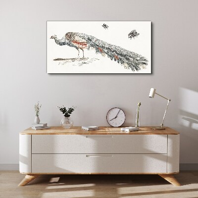 Peacock with flies Print on canvas