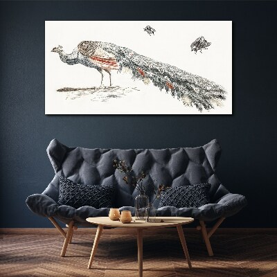 Animal bird peacock flies Canvas print