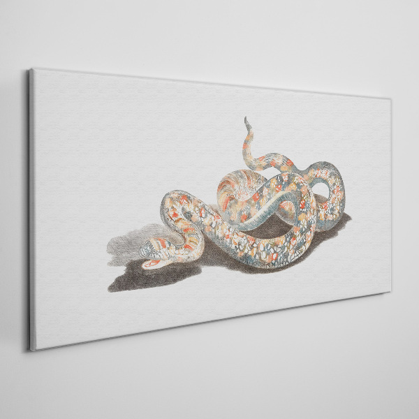 Snake pattern with colorful details Canvas wall art