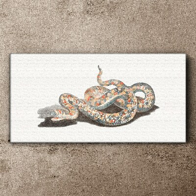 Snake pattern with colorful details Canvas wall art