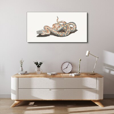 Snake pattern with colorful details Canvas wall art
