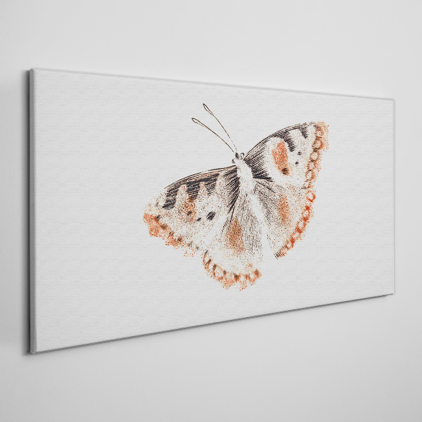 Butterfly on white background Print on canvas