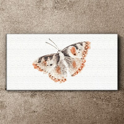 Butterfly on white background Print on canvas