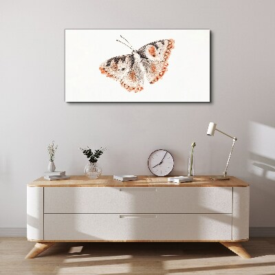 Butterfly on white background Print on canvas