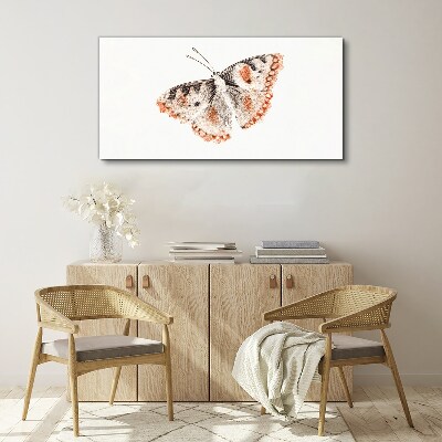 Butterfly on white background Print on canvas