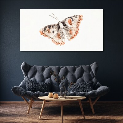 Butterfly on white background Print on canvas