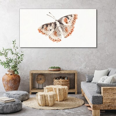 Butterfly on white background Print on canvas