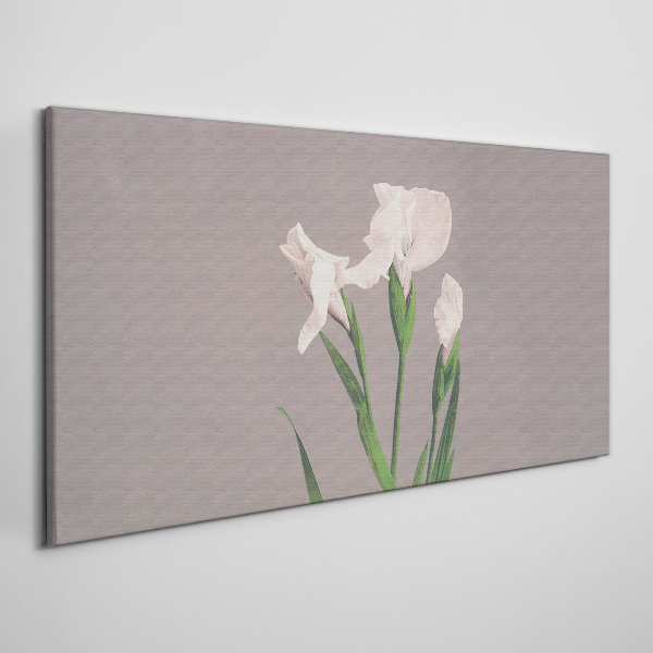 Flowers on a gray background Print on canvas