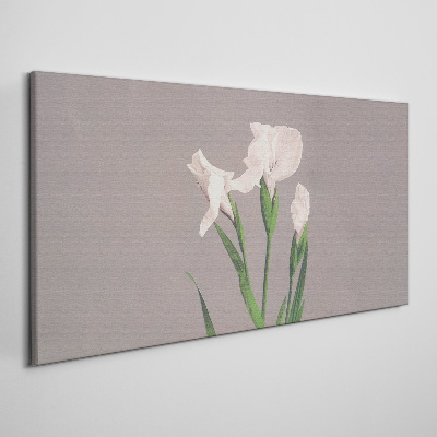 Flowers on a gray background Print on canvas