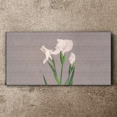 Flowers on a gray background Print on canvas