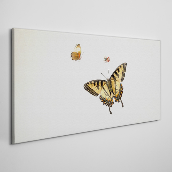 Butterflies in delicate harmony Canvas wall art