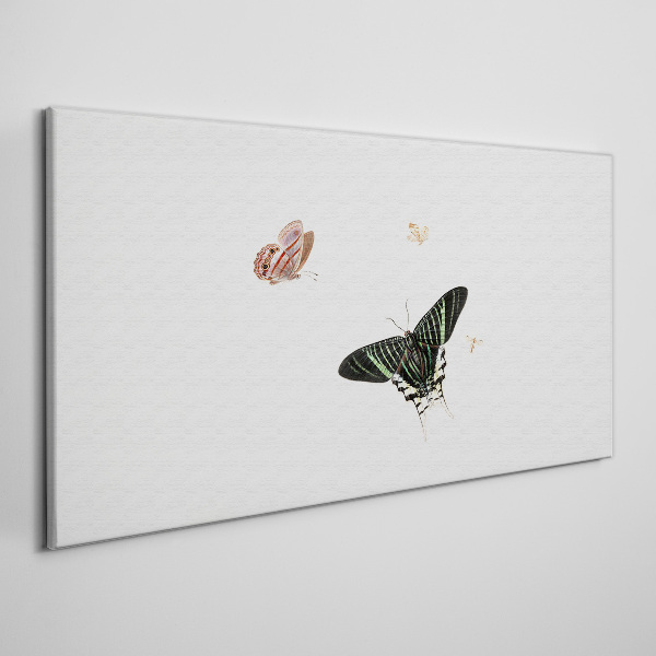 Butterflies in a delicate dance Canvas wall art
