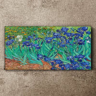Irises in Bloom Canvas wall art