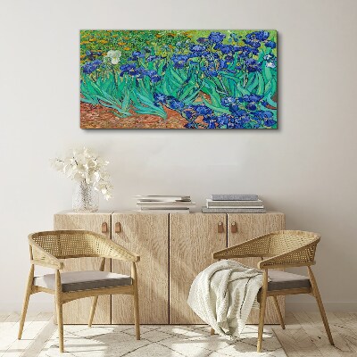 Irises in Bloom Canvas wall art