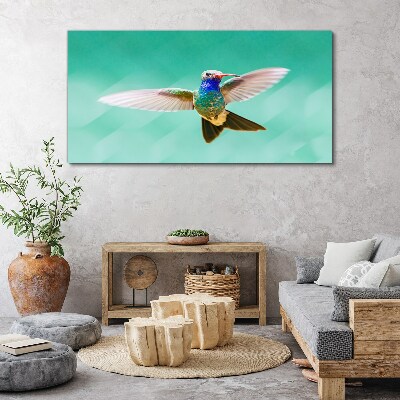 Hummingbird in blue background Canvas wall art