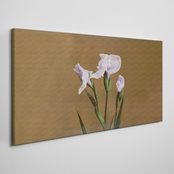 Iris flowers on a brown background Print on canvas