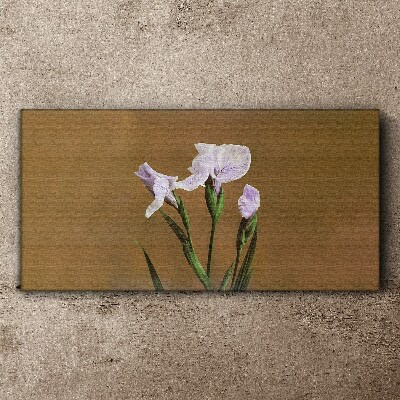 Iris flowers on a brown background Print on canvas