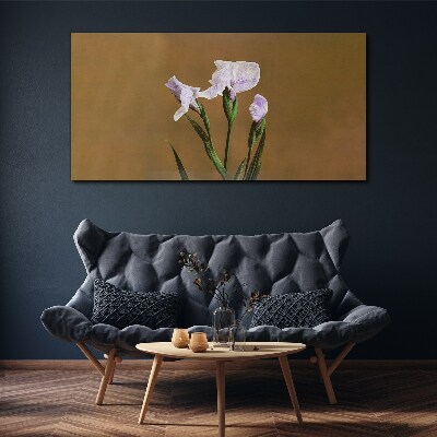Iris flowers on a brown background Print on canvas