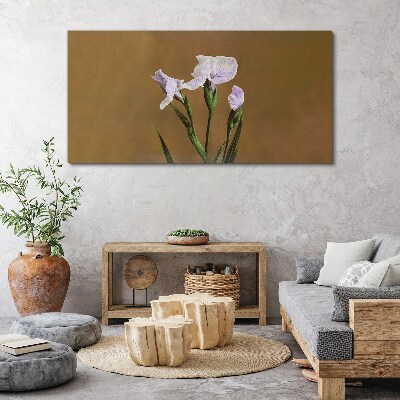 Iris flowers on a brown background Print on canvas
