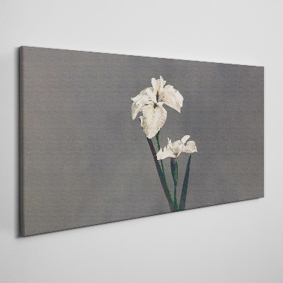 White irises on a gray background Print on canvas