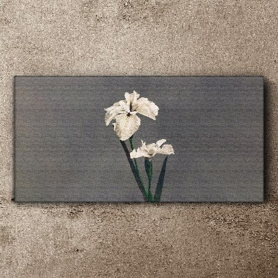 White irises on a gray background Print on canvas