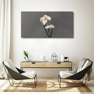 White irises on a gray background Print on canvas