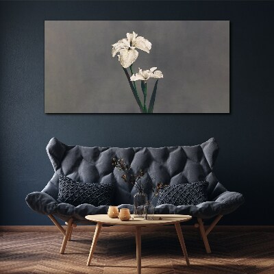 White irises on a gray background Print on canvas