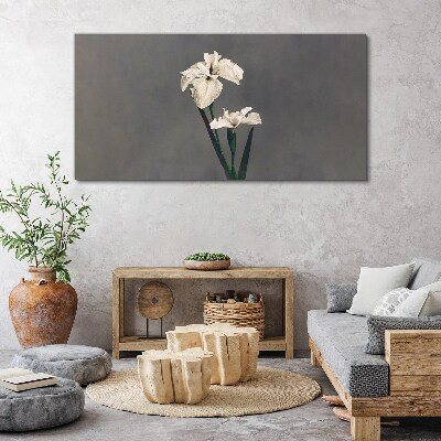 White irises on a gray background Print on canvas