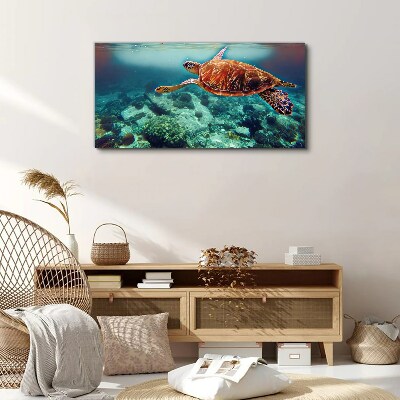 Sea ​​turtle water Canvas Wall art