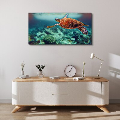 Sea ​​turtle water Canvas Wall art