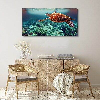 Sea ​​turtle water Canvas Wall art