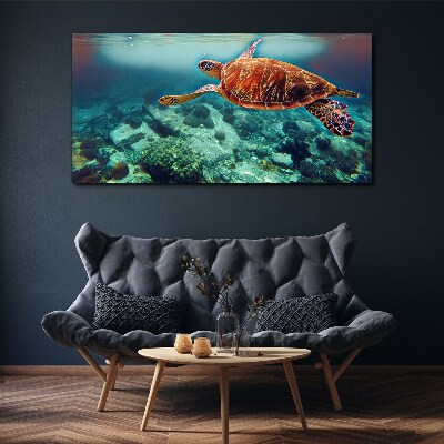 Sea ​​turtle water Canvas Wall art