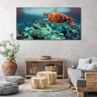 Sea ​​turtle water Canvas Wall art